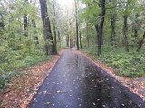 20131106_094315
