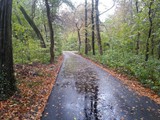 20131106_094352