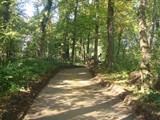 DSC00464