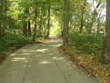 DSC00482