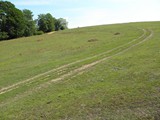 P6050033