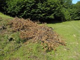 P6050040