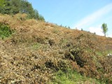 P6050043