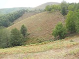 P8260446