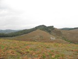 P8260458