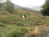 P8260494