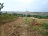 DSC08984