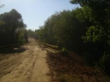 DSC09027