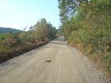 DSC09074