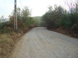 DSC09077