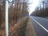 DSC09151