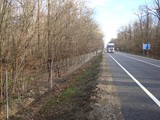 DSC09153