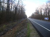 DSC09161